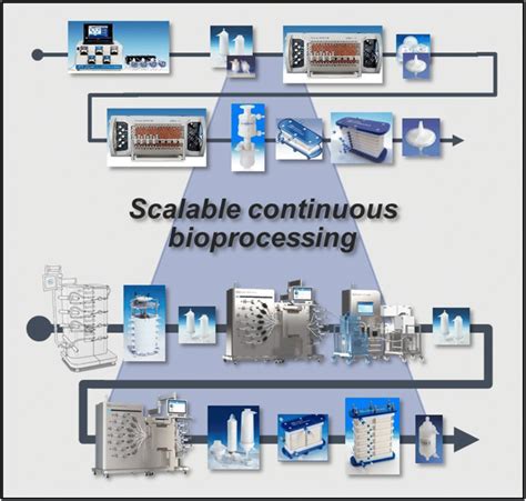 Shows The Scalable Single Use Processing Equipment That Is Available