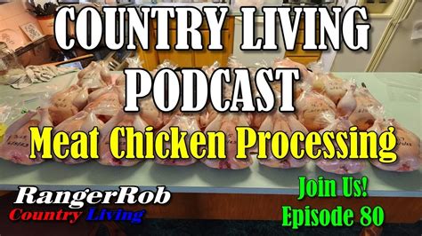 Processing Meat Chickens Red Rangers Vs Cornish Cross Pros Cons