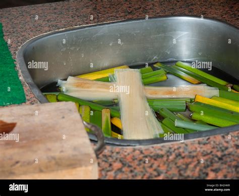 Papyrus Paper Making Hi Res Stock Photography And Images Alamy