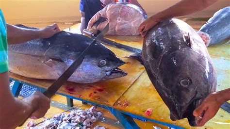 Never Seen Kg Big Tuna Fish Cutting Skills Big Fish Cutting From