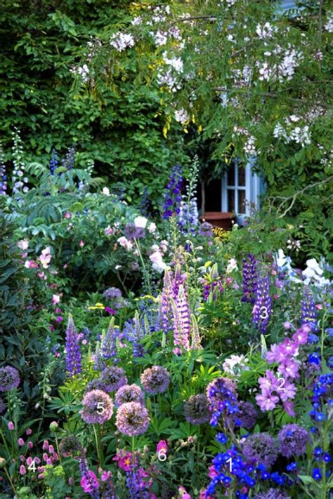 Blauw Paarse Border Bij Tuinieren Nl Door Rozarozijn Tuin Idee N