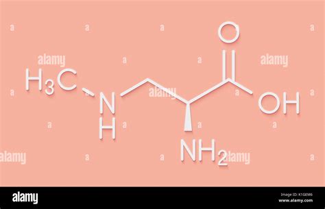 beta-Methylamino-L-alanine (BMAA) toxic amino acid molecule. Produced ...
