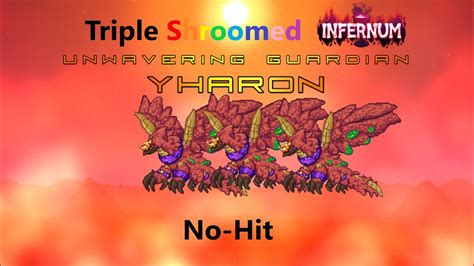 Triple Shroomed Infernum Yharon Dragon Of Rebirth No Hit Youtube