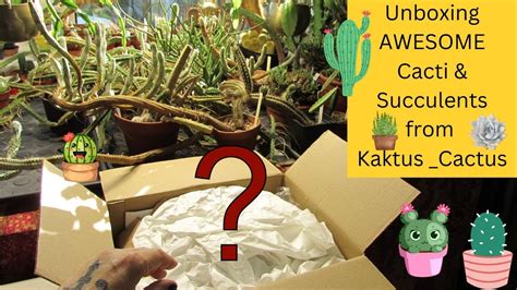 Unboxing Awesome Cacti And Succulents And Houseplants From Kaktus And Cactus Kaktuscactus Youtube