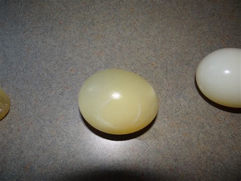 On Froggy Meadow Naked Eggs