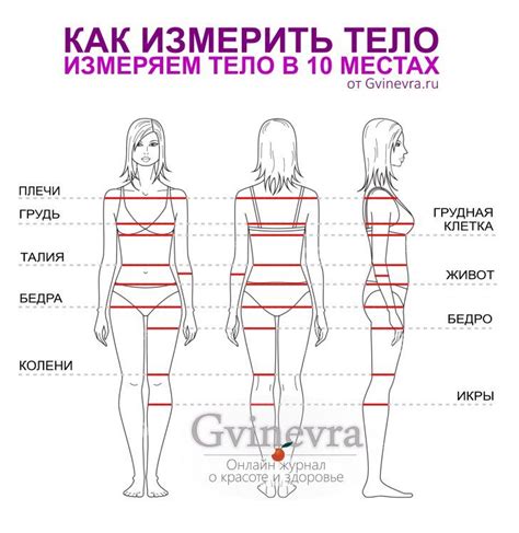 как правильно измерить бедра в фитнесе 8 тыс изображений найдено в