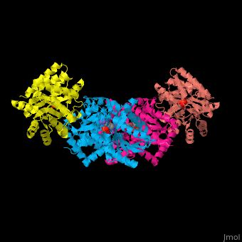 Tryptophan Synthase Proteopedia Life In D