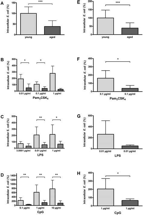 Phagocytosis Of E Coli K1 By Macrophages A D And Microglial Cells Download Scientific