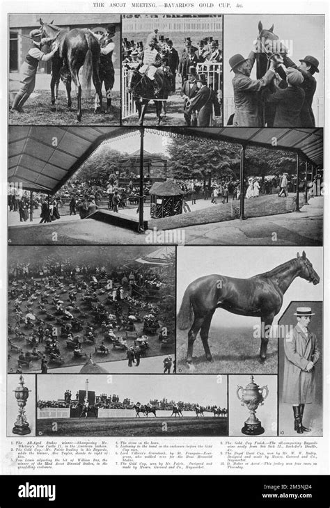 The British Thoroughbred Racehorse Bayardo Wins The Gold Cup At Ascot