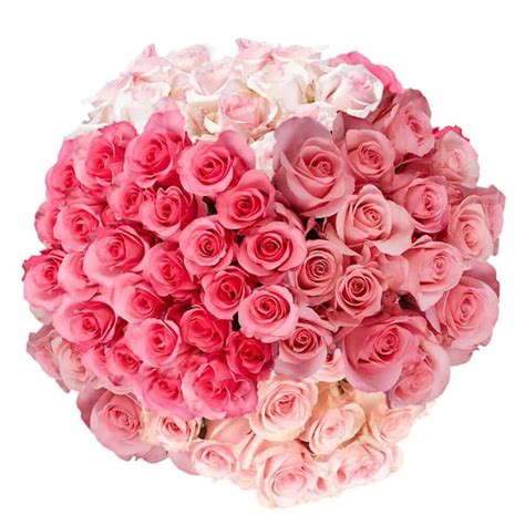 Globalrose 100 Stems Fresh Cut Pink Roses 1850500097111 The Home Depot