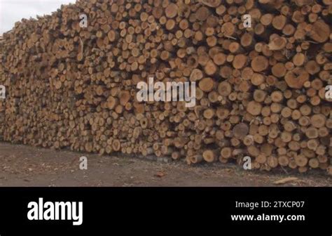 Aerial Close Up Scenic View Of Perfectly Stacked Pile Of Firewood