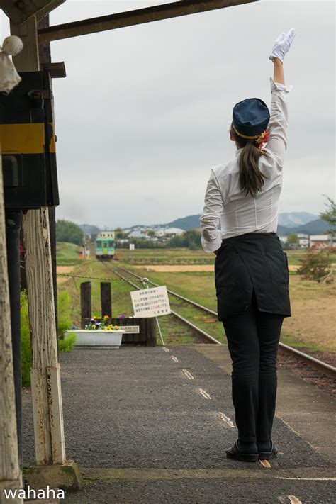 鉄道風景写真が撮りたーいっ！ 北条鉄道 網引駅の大イチョウ！と法華口駅！