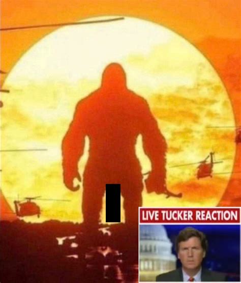 Live Tucker Reaction Template