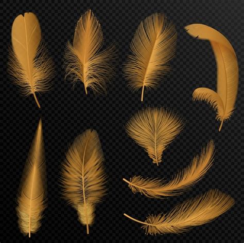 Diseño De Plumas Doradas Vector Gratis