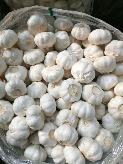 Factory Pure White Fresh Garlic Price Bulk Garlic For Sale Garlic