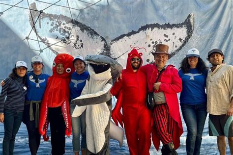 Todo Listo Para La Gran Haza A De Nado Por Las Ballenas Cruce De