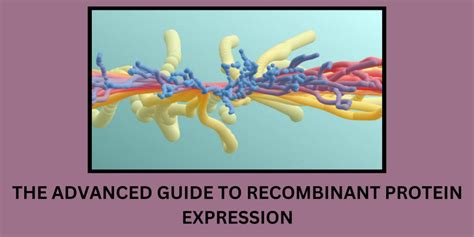 The Advanced Guide To Recombinant Protein Expression Biomatik