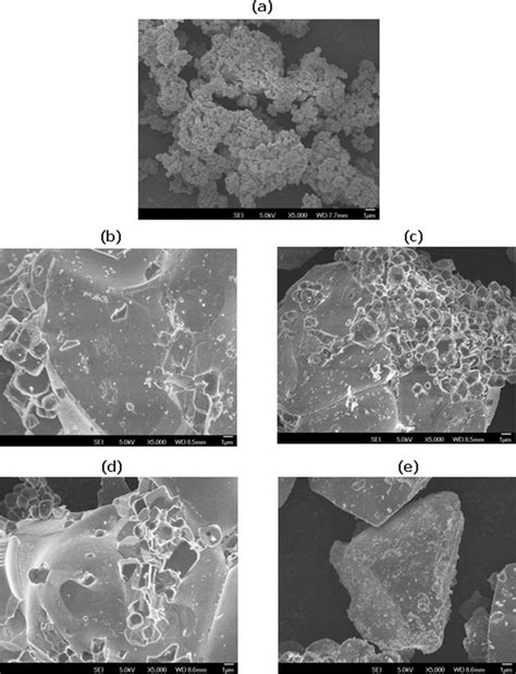 Sem Images Of A Precursor Material B Sr Sio Eu Synthesized