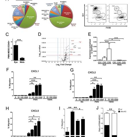 Pmn Mdsc Favor Tumor Cell Proliferation In Vitro A Melan Ret Cells