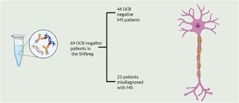 Jcm Free Full Text Absence Of Oligoclonal Bands In Multiple