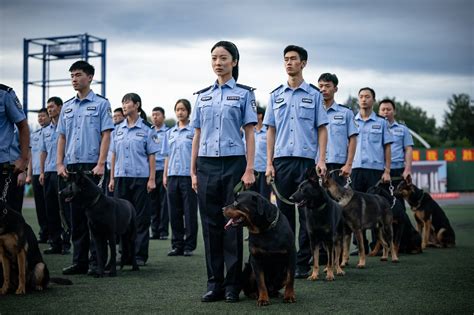 童苡萱再度挑战民警角色 《特种兵之火凤凰》 搜狐大视野 搜狐新闻