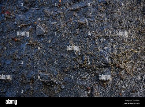 Textura De Barro Humedo Fotos E Im Genes De Stock P Gina Alamy