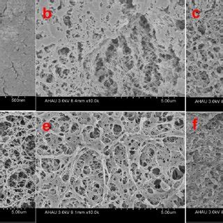 Sem Images Of The Surface And Cross Section Morphologies Of Ch A And