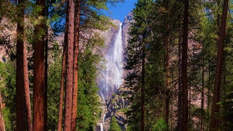 Yosemite National Park, Yosemite Falls wallpaper - backiee