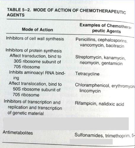 Antibiotics And Their Targets Flashcards Quizlet