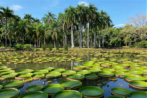 3 Days Exotic Tour in Xishuangbanna - China Travel Planner