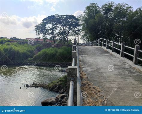 Bridge On Big River In Rice Field In Asia Stock Photo Image Of Bridge