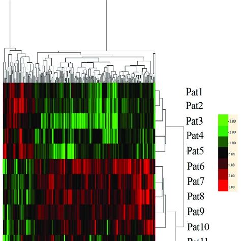 Heat Map Generated By Hierarchical Clustering Of Differentially Download Scientific Diagram