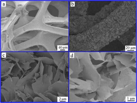 Fesem Images Of Ni Foam And Nio Nanosheets A Low Magnification Fesem