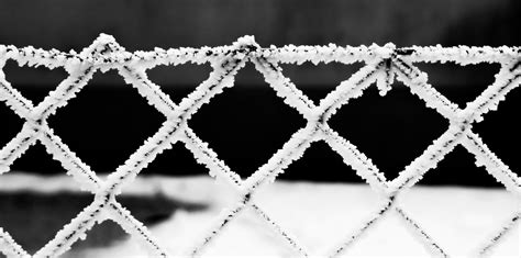 Kostenlose Foto Natur Ast Schnee Kalt Winter Tau Zaun Schwarz