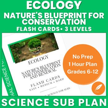 Ecology Habitats Biomes Ecosystems Food Chains Webs No Prep Flash Cards