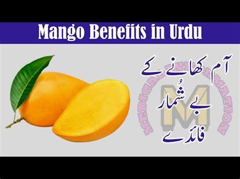 Mango Benefits In Urdu Mangobenefits Aam Khane Ke Fayde In Urdu