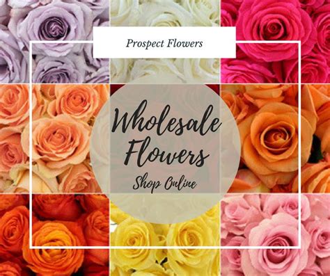 Buy Bulk Roses at Wholesale prices. visit - https://bit.ly/2ijl3zM #Wholesaleflowers # ...