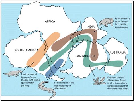 Plate Tectonics Continental Drift Spreading Centers Subduction Zones