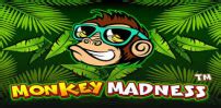 Monkey Madness Slot By Pragmatic Play Free Play Demo Rtp