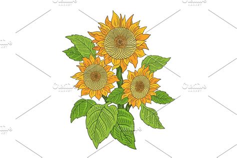 Sunflower Bouquet Drawing Sketch Sunflower Drawing Sketches Drawing