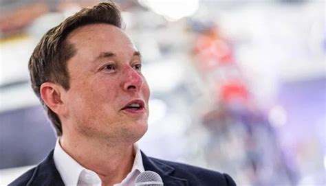 JUST IN Elon Musk Sells Nearly 4bn In Tesla Stock Opinion Nigeria