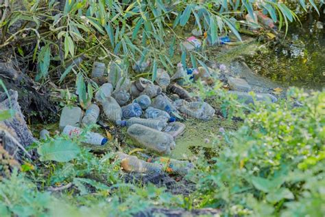 Plastic bottle pollution. stock image. Image of water - 257606359