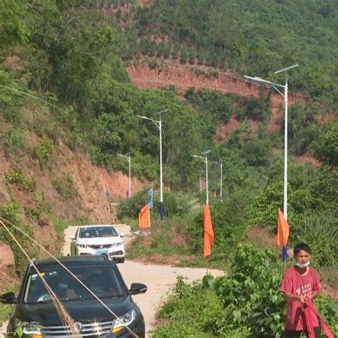 高州东岸一条村装了70多盏路灯，晚上不用摸黑了应村群众支持