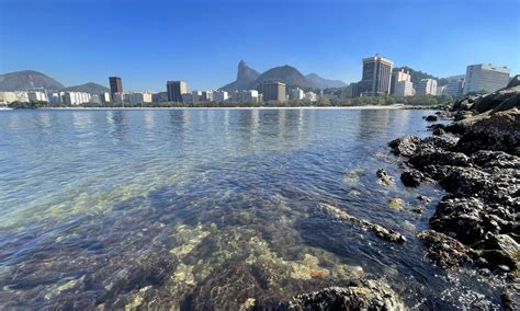 Arraias são flagradas na Praia de Botafogo em meio a água transparente