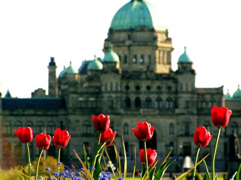 Leaderpost is breaking news about the latest provincial election 11