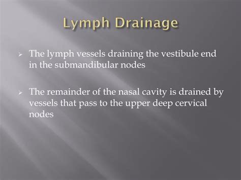 Ppt Nasal Cavity And Paranasal Sinuses Powerpoint Presentation Id 6150524