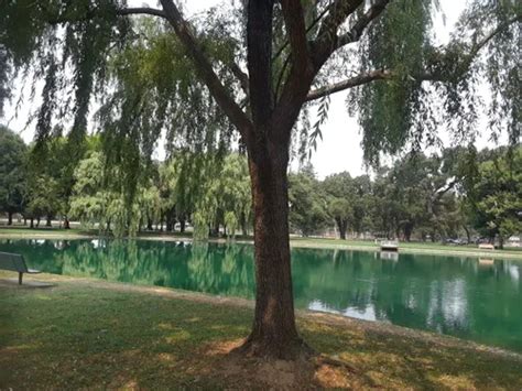 Best Hikes And Trails In Elk Grove Alltrails