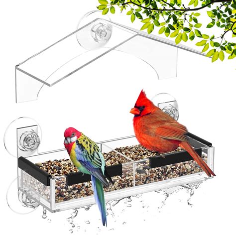 10 Best Bird Houses Top Picks For Your Feathered Friends