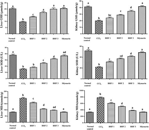 Effect Of Bhpf And Silymarin On Lipid Peroxidation And Antioxidant