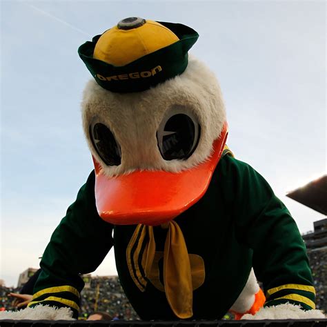 Oregon Ducks' Awful Weekend Included Miserable Mascot Moments ...